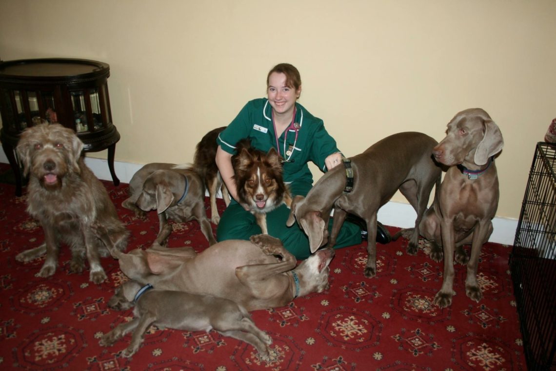 Veterinary Nurse Kelly with her family dogs