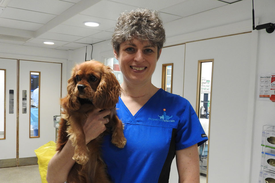 Professor Clare Rusbridge with a King Charles Cavalier Spaniel patient at Fitzpatrick Referrals