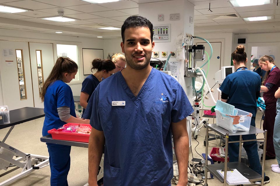 Intern Mario Garcia in the prep room at Fitzpatrick Referrals Orthopaedics and Neurology