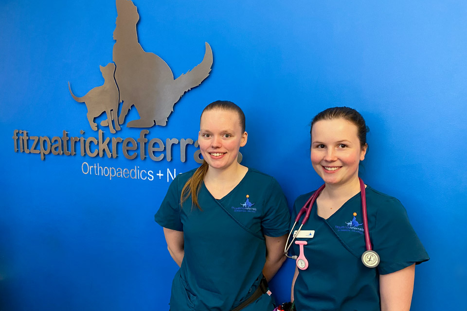 Two veterinary nurses at Fitzpatrick Referrals