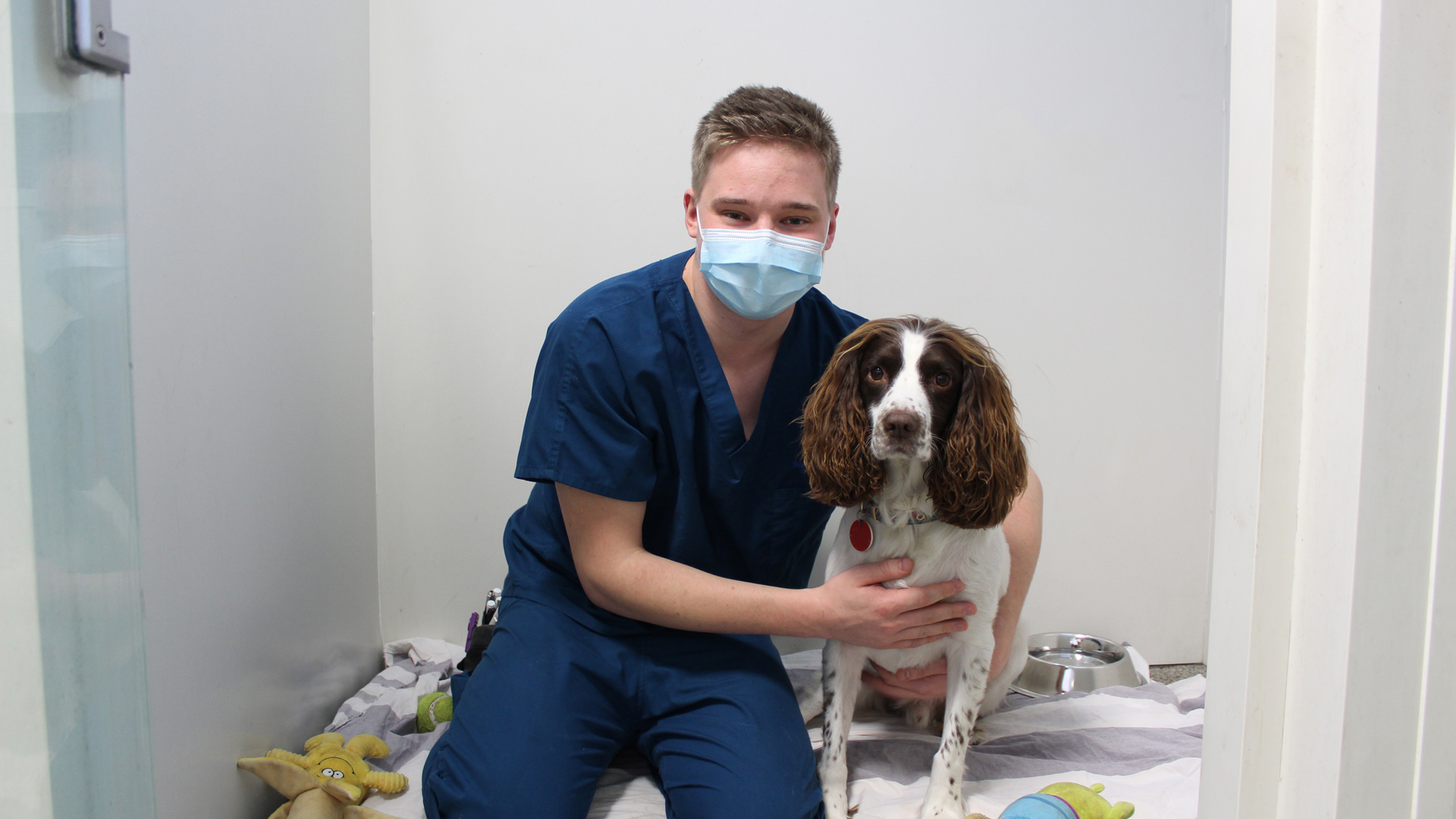 Registered Veterinary Nurse caring for dog in wards