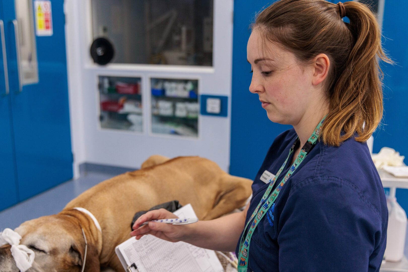 Veterinary nurse holding clipboard and monitoring a dog