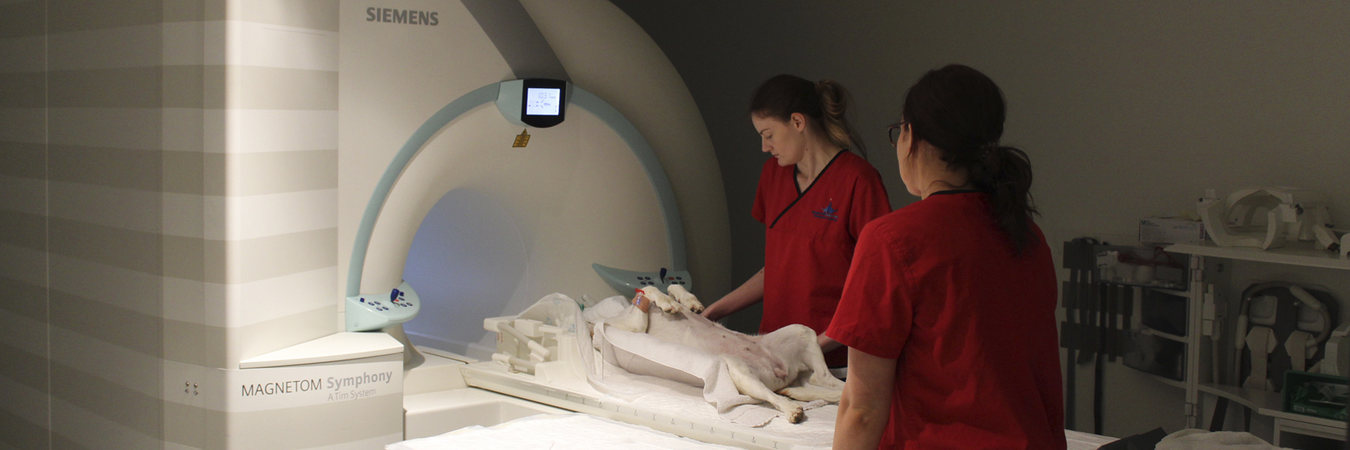 how much is a dog mri scan uk