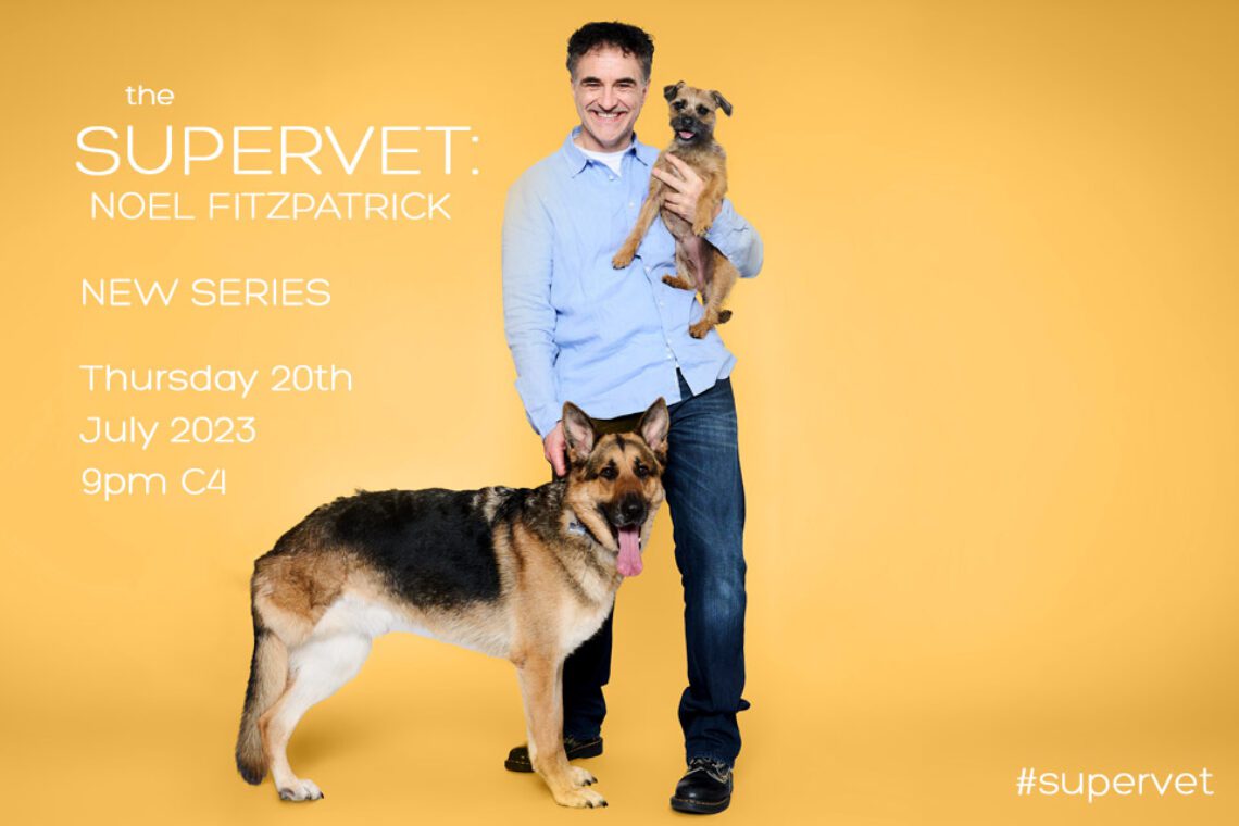 The Supervet is back for summer 2023 with series 18 News